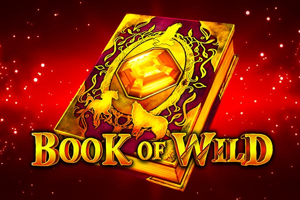 Book of Wild automat Book of Wild automat